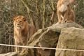 ZOO_Plzen_27_02_2012 (13)