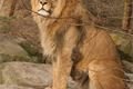 ZOO_Plzen_27_02_2012 (14)