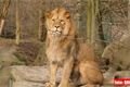 ZOO_Plzen_27_02_2012 (16)