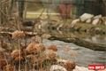 ZOO_Plzen_27_02_2012 (20)