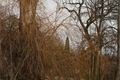 ZOO_Plzen_27_02_2012 (23)