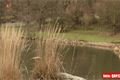 ZOO_Plzen_27_02_2012 (25)