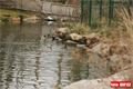 ZOO_Plzen_27_02_2012 (26)