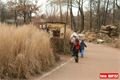 ZOO_Plzen_27_02_2012 (27)