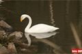 ZOO_Plzen_27_02_2012 (28)