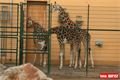 ZOO_Plzen_27_02_2012 (30)