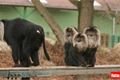 ZOO_Plzen_27_02_2012 (33)