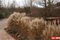 ZOO_Plzen_27_02_2012 (34)