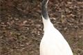 ZOO_Plzen_27_02_2012 (35)