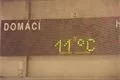 SDC13980
