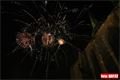 Silvestr 2012_plzen_namesti (30)