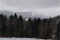 DSC05934