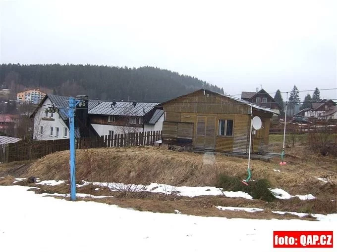 železná ruda_1_2_2013 (6)