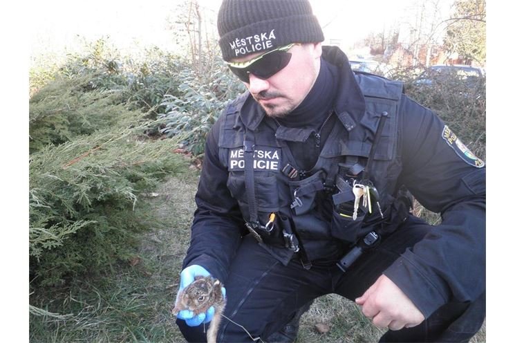 police