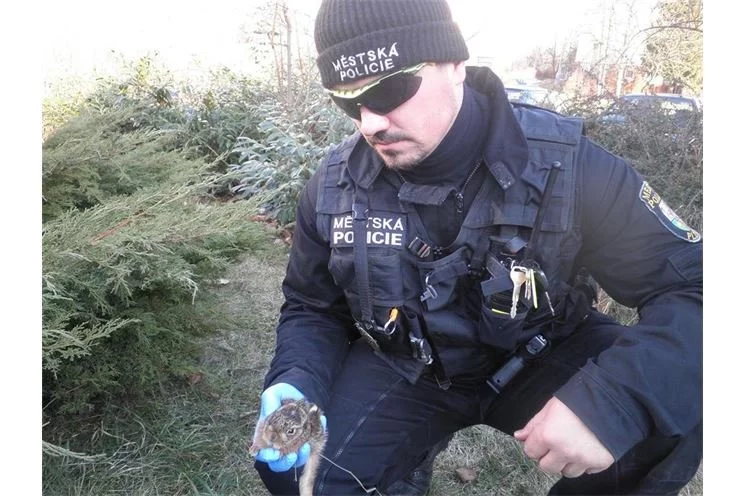 police
