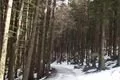 cesta na Černé jezero 10_3 (1)