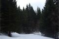cesta na Černé jezero 10_3 (2)