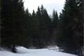 cesta na Černé jezero 10_3 (2)