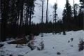 cestou z Černého jezera10_3 (2)