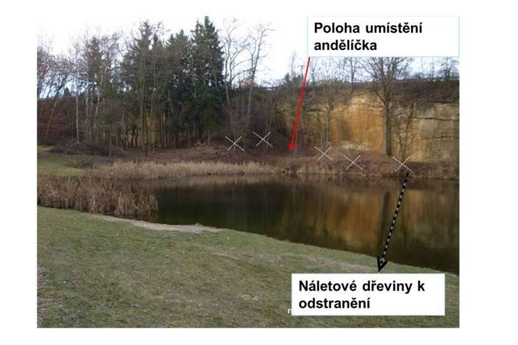 Koš._jezírko_foto Koš._jezírko_foto