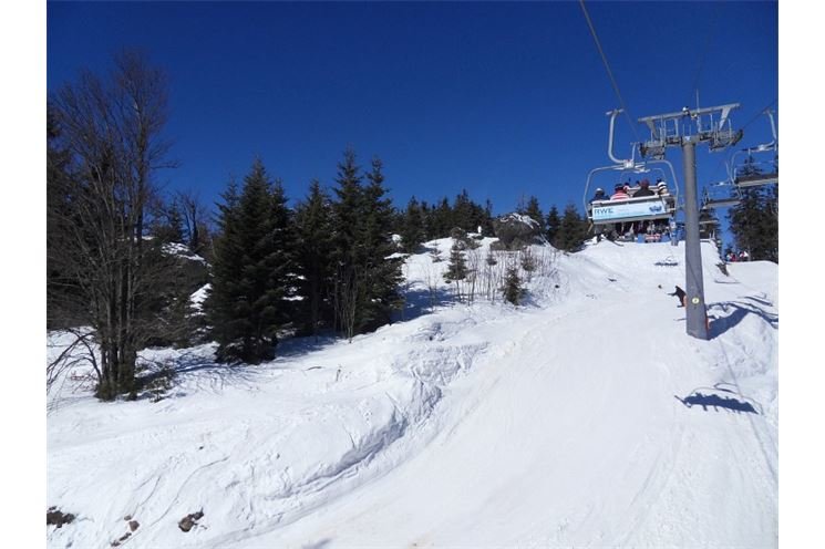 SDC17157