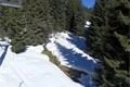 SDC17167