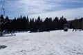 SDC17174