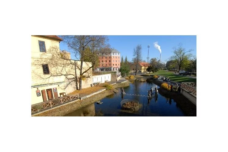 mlynska