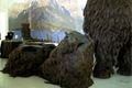 mamut