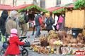 velikonoční trhy Plzeň (14)