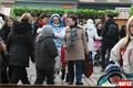 velikonoční trhy Plzeň (42)