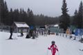 SDC17780