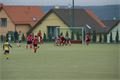 DSC08019