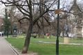 DSC08405