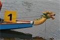 Dračí lodě 2010 