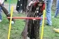 22_ms_carodejnicke_odpoledne (19)