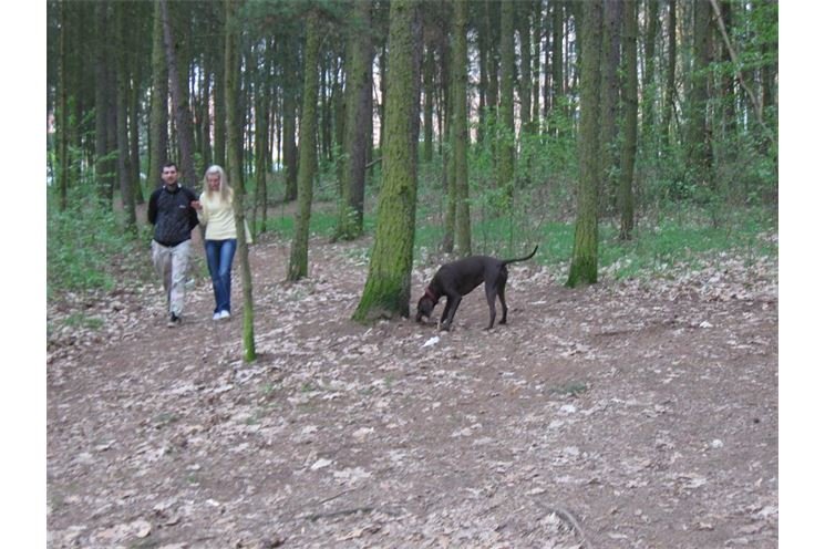Šídlovák foto Qap.cz Šídlovák foto Qap.cz