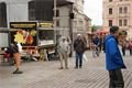 DSC09142
