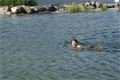 DSC09251