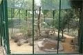 DSC09320