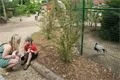 DSC09334