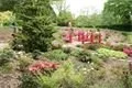 DSC09361