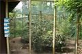 DSC09365