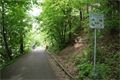 DSC09509