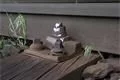 P1010102