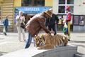 IMG_3155