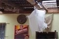 DSC00007