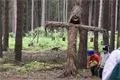 DSC00018