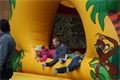 DSC00031