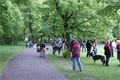 DSC09340